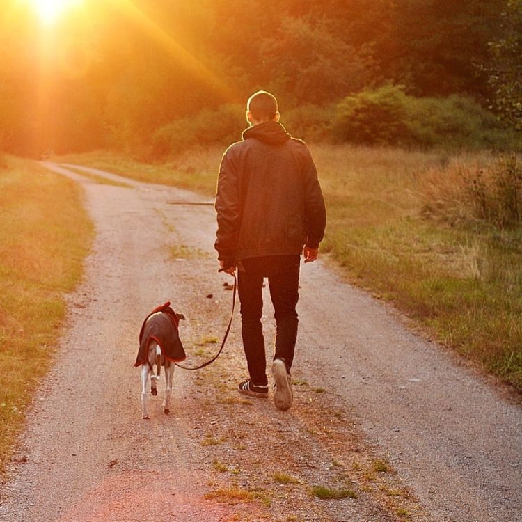 passeggiata cane